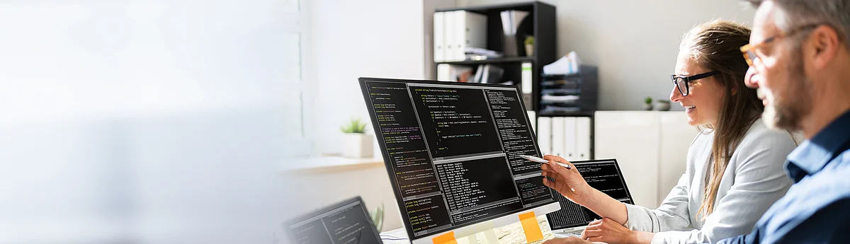 Software Developer